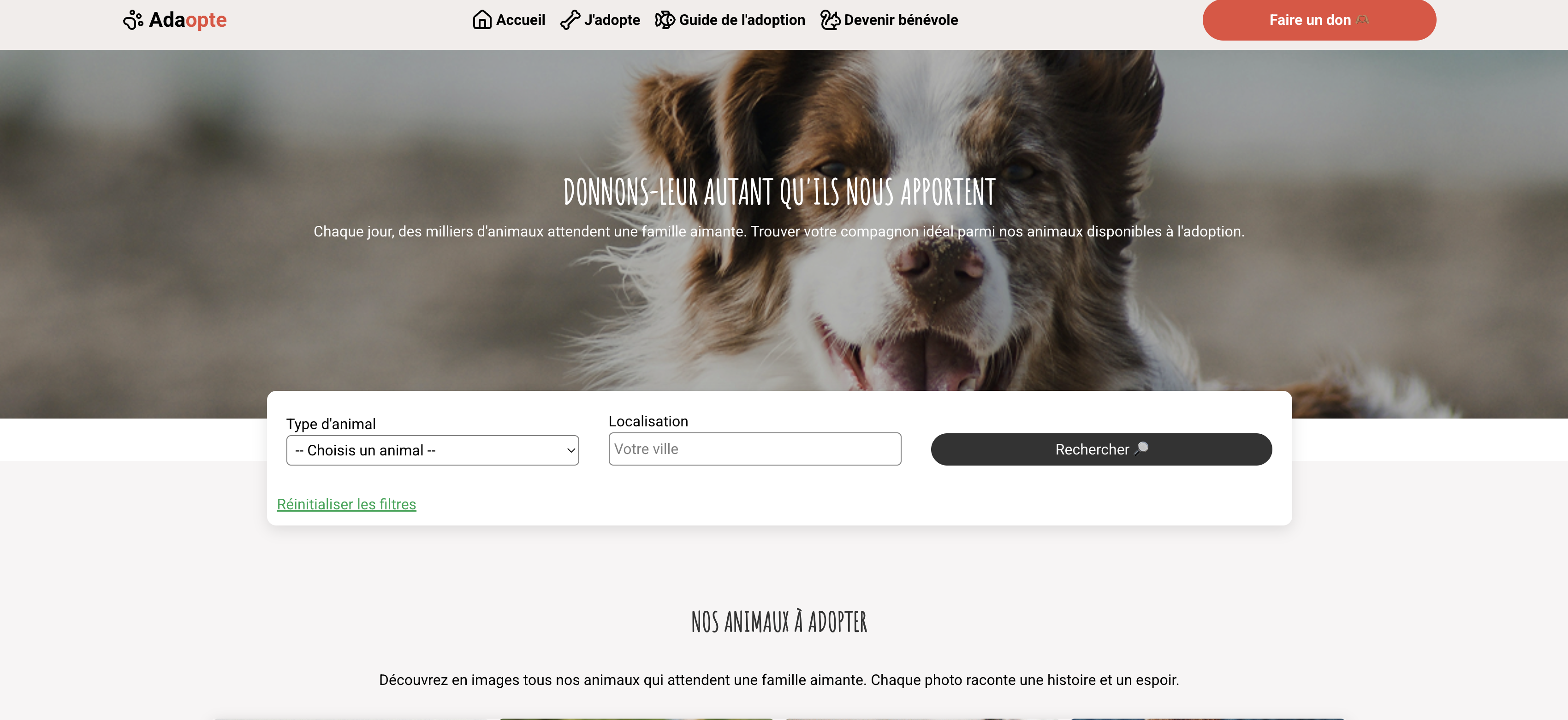 Capture d'écran du projet Adaopte